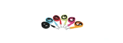 ZOLUX leashes NYLON LEAD 1M 25MM BEIGE