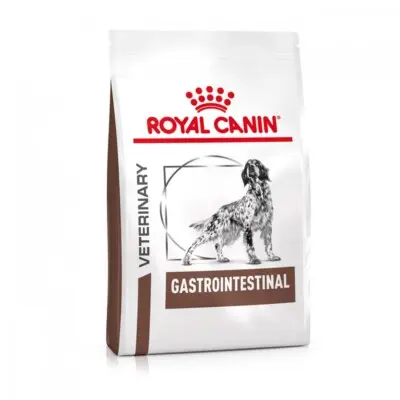 Royal Canin Gastro Inte. Canine - 2K