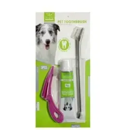 Nunbell Dental Care kit